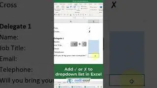 Tick/ cross option in Excel dropdown lists