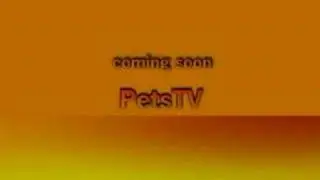 PetsTV