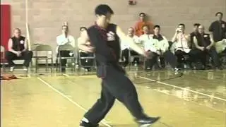 Choy Li Fut - Yee Jong Bot Gwa - Plum Blossom Martial Arts Expo 2003