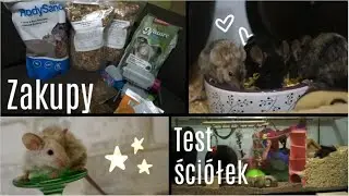 🐾Zakupy || Test Ściółek || Wolne myszy 🐭