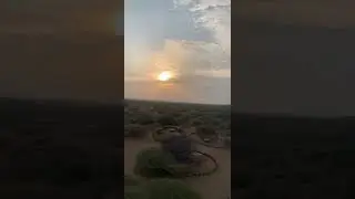 Animal Refugee in the Horn of Africa
