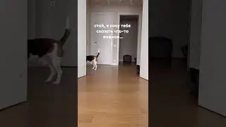 *Чмок*💖