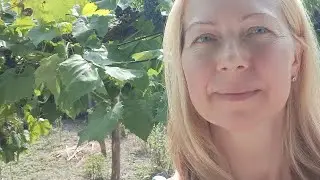 Пробила колесо.Ищу резину на Таврию в Миргороде.Как мы живём.