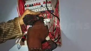 Digital electrical voltage protector installation full details