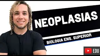 NEOPLASIA: BASES MOLECULARES E GENÉTICAS DO CÂNCER - Biologia com Patrick Gomes