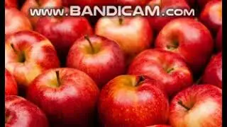 Food ASMR - APPLE | eatinh sounds/maça asmr/sons satisfatorios (only sounds)
