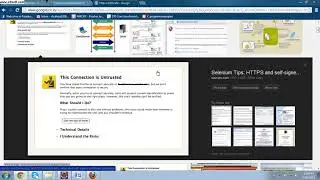 How to handle the  HTTPS certifications in selenium web drivedr