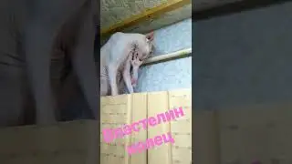 властелин колец Голлум шмыга абыр абыр 