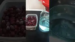 Настойка на кизиле 