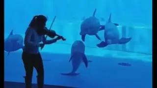 Загляденье...Весь мир говорит про это Трешовое видео!