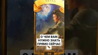 О ЧЕМ ВАМ НУЖНО ЗНАТЬ ПРЯМО СЕЙЧАС 🪶