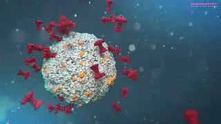 How Hamamatsu contributes to fighting COVID-19