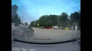 Олени на дорогах. 23 июня 2024 г.