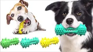 Quietschende Hundezahnbürste, Molar Spielzeug,  Haustier Spielzeug, Hund Spielzeug, Haustier liefert