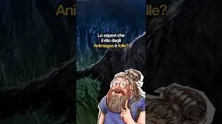 Il rito degli Animagus #harrypotter #potterhead #booktube