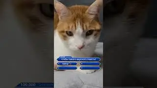 извечный вопрос 