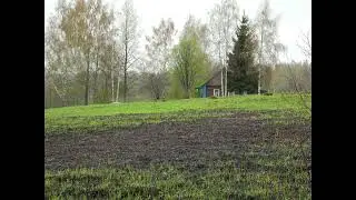 Пасека в деревне
