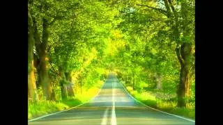 Summertime Rolls - Jane's Addiction.wmv