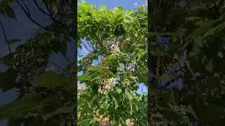 Детская площадка в Каргиджаке