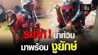 ระทึก ! น้ำท่วม มาพร้อม งูยักษ์ | อีจัน EJAN