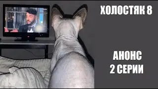 Анонс 2 серии шоу Холостяк 8 сезон Россия. Холостяк 8 сезон 2 серия. Холостяк 8 сезон 2 выпуск.