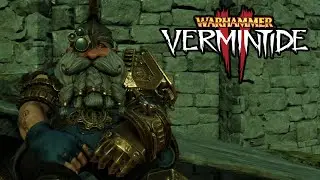 Let's Talk About Engineer (Warhammer: Vermintide 2)