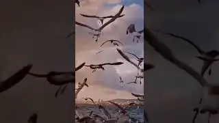 Ну было же?😌