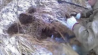 КЛАССНОЕ ОТКРЫТИЕ СЕЗОНА 2020  !!! КОП МЕТАЛЛА!!!