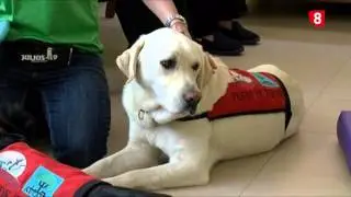 DOG THERAPY FOR SENIORS