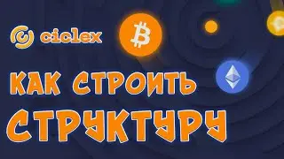 😎CICLLEX: КАК СТРОИТЬ СТРУКТУРУ, ПОДКЛЮЧАТЬ ПАРТНЕРОВ?