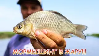 Crucian carp, perch, and bream for mormyshing in the heat! My way to MORMO!