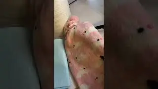В этот день☝️ 2 года назад 🥹Время летит..С днём рождения Лелика, Хулиганку, Рыжика и Котана🫶