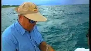 Costa Rica Rooster Fish 2