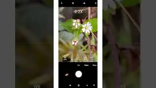 How to get DSLR Like background blurred photos with a normal mobile phone camera | #short #shorts