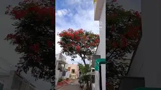 True view 4G camera installation #installation #trendingshorts #madurai #cctv#shortsfeed