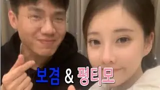 보겸&펑티모 홍대길거리 고양이송