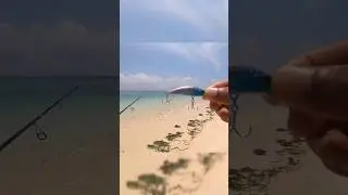 tackle baru Capung 1-3 lb x okuma c-ceymar a dibuat Babak belur di hajar beby predator 