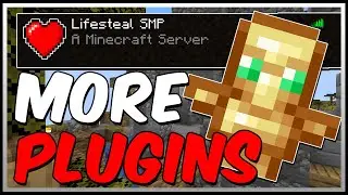 All The Plugins For Your LIFESTEAL SMP!