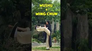 Wing Chun Kicks + Wushu #shorts #wushu #kungfu