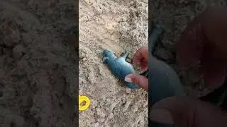 mencari dan menemukan mainan di pantai part2