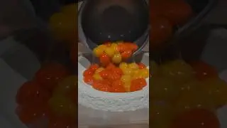 48 Egg Pasta 