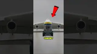 The Antonov An-225 Mriya is the world's largest aircraft! 