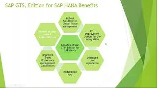 SAP Global Trade Services, Edition for SAP HANA