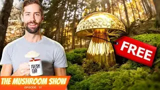 Finders' Keepers: The Global Mushroom Event You Don't Want To Miss!