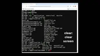 Cyber Secuirty Audit Linux Commands