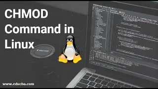 COMANDO CHMOD EN LINUX | PERMISOS A GRUPOS U OTROS