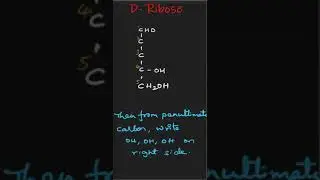 Ribose open chain | shorts | Carbohydrates | Monosaccharides | Biochemistry