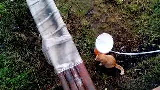 Котолифт