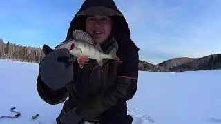 Wolves don't howl.......Everything is fine! Fishing 2020.