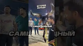 Мощь с РОГАМИ 🐂